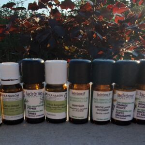 Friponti Workshop: Ontdek de kracht van Etherische Oliën
