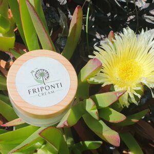 Friponti Workshop: Maak je eigen Natuurlijke Crème voor een stralende, Jeugdige huid